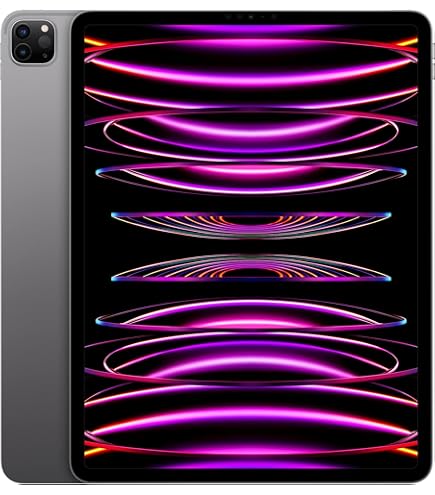 美品！ Apple iPad Pro 12.9インチ 256GB Wi-Fi iPad Pro第4世代12.9インチ256GB Apple pencil付属 Apple iPad Pro